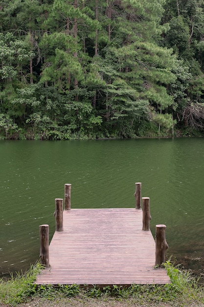 Cais em um lago e floresta ao fundo