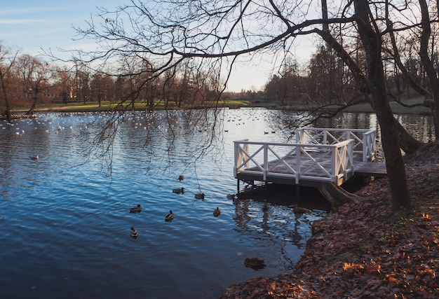 Cais no lago de outono.