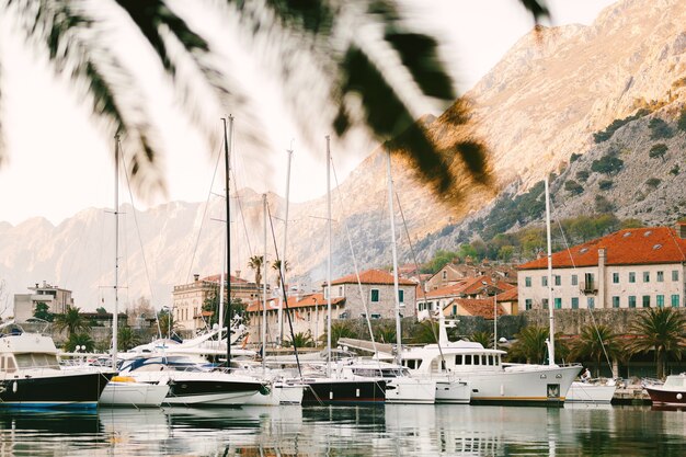 Cais perto da cidade velha de kotor montenegro