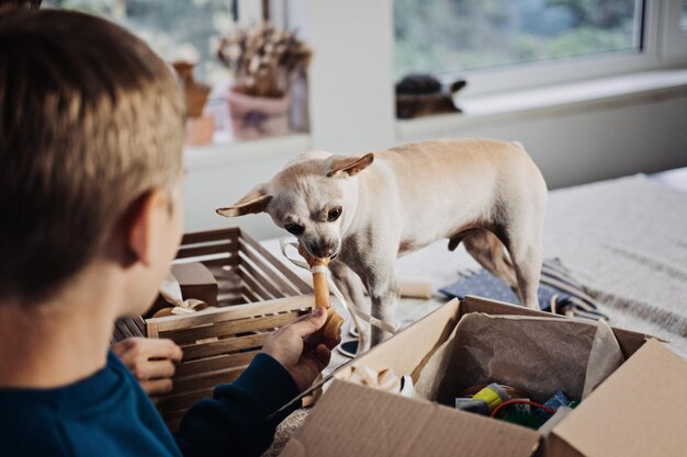 Caixa de cuidados de animais de caridade caixa de doação pacote de presente para abrigo de animais de estimação família feliz mãe filho e cachorro