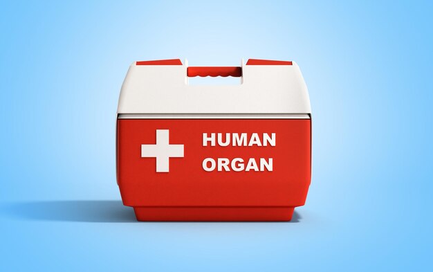 Foto caixa de frigorífico de órgãos humanos fechada vermelha renderização 3d em fundo azul