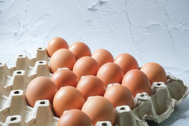 Caixa de ovos com fundo branco