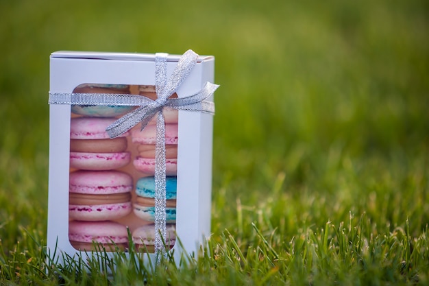 Caixa de presente branca de papelão com biscoitos de macaron artesanal colorido sobre fundo de gramado de grama verde.