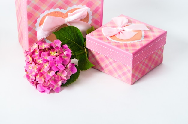 Caixa de presente dois rosa com flor de hortênsia. Isolado em fundo branco