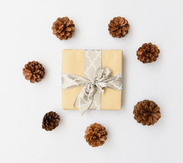 Caixa de presente marrom ornamate de Natal e pinhas em fundo branco, plana leigos