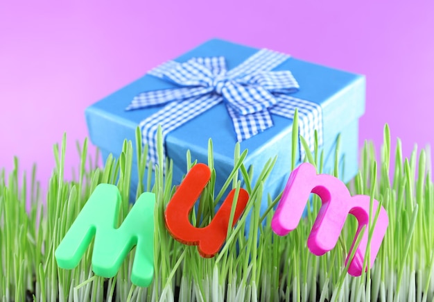 Caixa de presente para a mãe na grama na cor de fundo