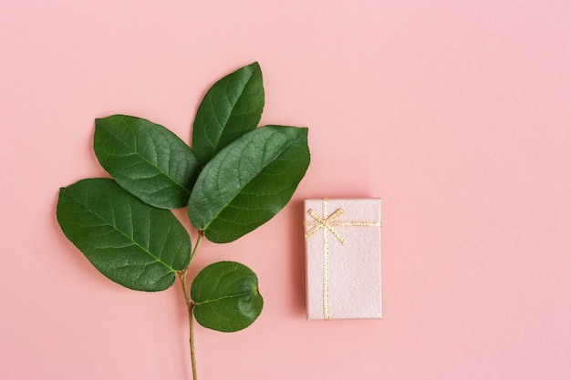 Caixa de presente rosa com surpresa e ramo natural com folhas verdes