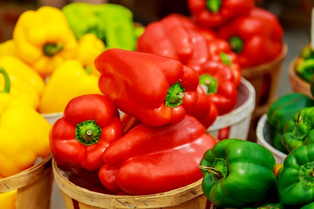 Caixas com pimentas coloridas no mercado.