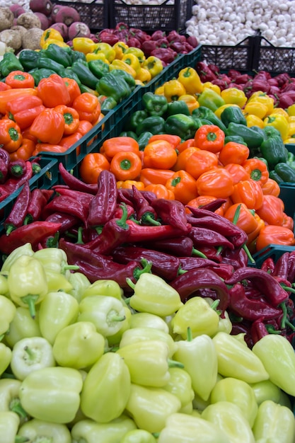 Caixas com pimentos coloridos