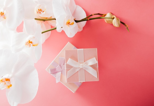 Caixas de presente com orquídea branca em fundo rosa