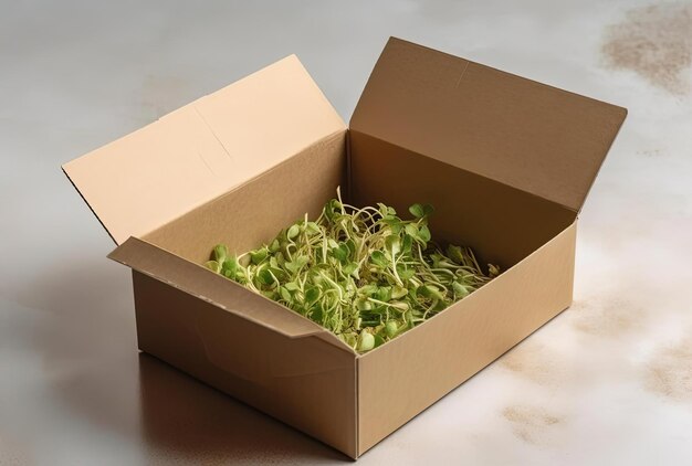 una caja abierta que contiene brotes de col salteados y hojas de lechuga tierna