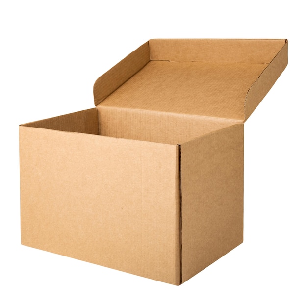 Caja de almacenamiento de archivo de cartón con tapa abierta