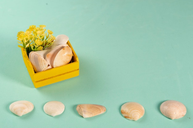 Caja amarilla de madera con conchas y flores que simbolizan el verano en un fondo verde