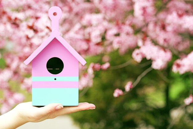 Caja de anidación decorativa en manos femeninas en el fondo del jardín en flor