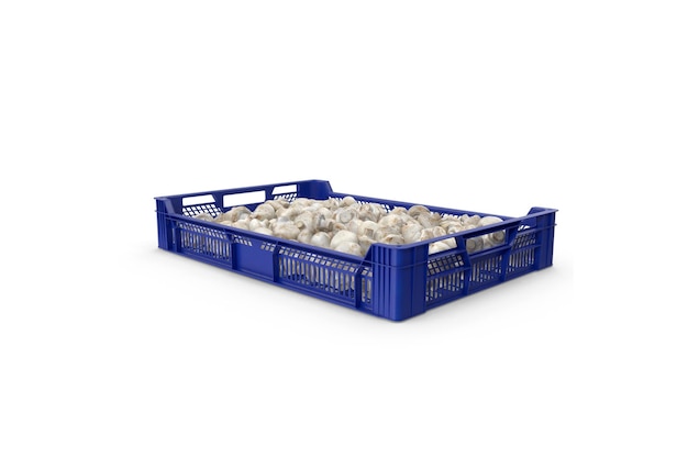 Caja azul de cebollas blancas sobre un fondo blanco.