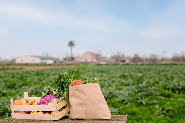 Caja y bolsa con verduras en un campo de cultivo