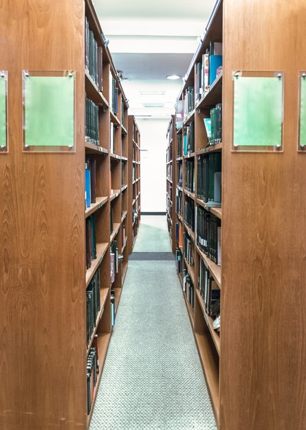 Caja de canal marrón de estantería en la biblioteca