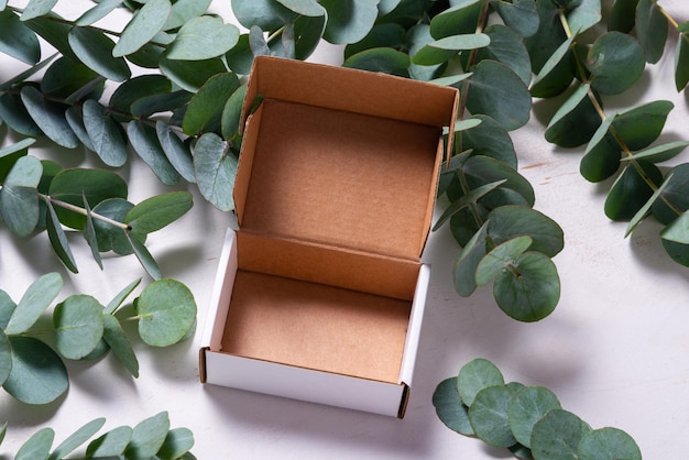 Caja de cartón de cartón blanco decorada con rama verde Eucalyptus