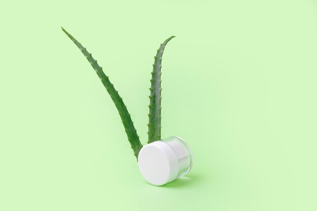 Caja de cosméticos en blanco con aloe vera sobre fondo Concepto cosmético orgánico