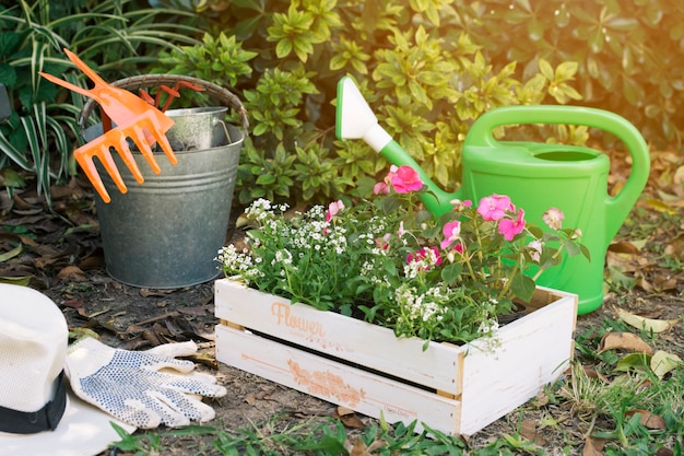 Caja de flores en jardín verde