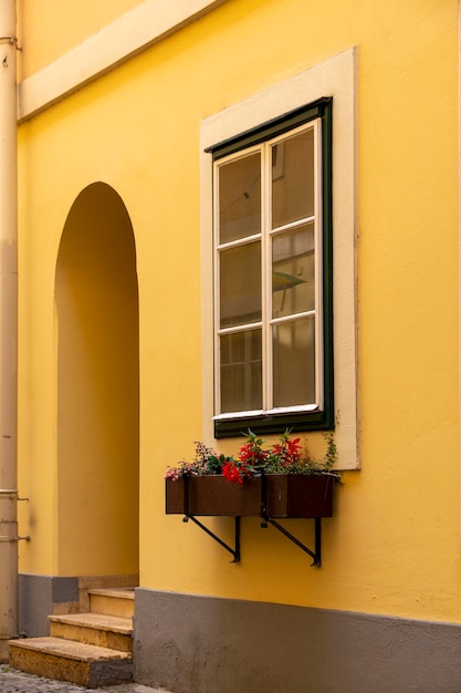 Una caja de flores bajo la ventana de un edificio de apartamentos