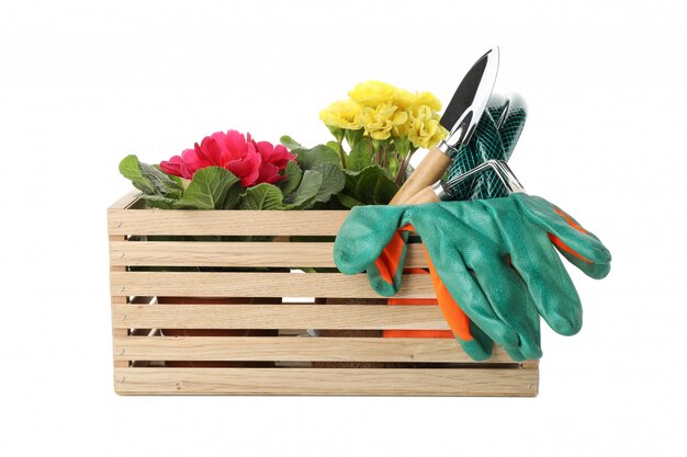 Caja con herramientas de jardinería y flores aisladas en blanco