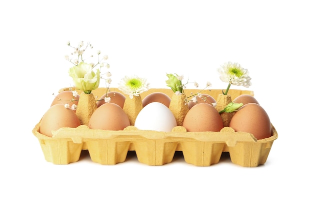Caja de huevos con huevos y flores aislado sobre fondo blanco.