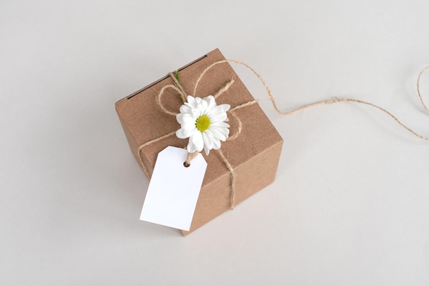 Caja kraft con etiqueta en blanco etiqueta de precio maqueta etiqueta de cartón blanco con cuerda aislada