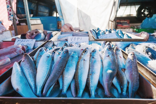 Caja llena de caballa recién capturada temprano en la mañana de invierno en el mercado de Marsaxlokk, Malta