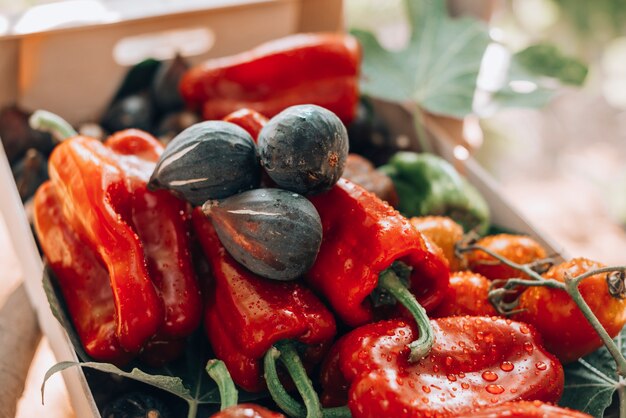 Foto caja llena con pimientos rojos verdes e higos