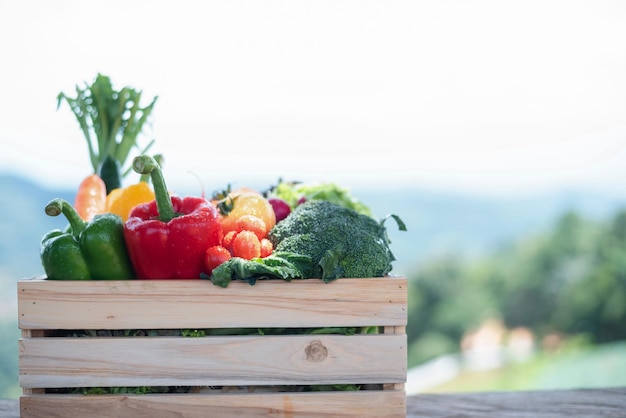 Caja llena con una gran selección de frutas y verduras orgánicas frescas y saludables.