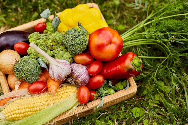 Caja de madera con diferentes verduras frescas de granja al aire libre en el césped