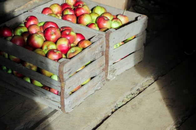 Foto caja de madera llena de manzanas frescas.