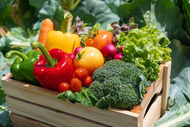 Caja de madera llena de vegetales orgánicos frescos en farmxA