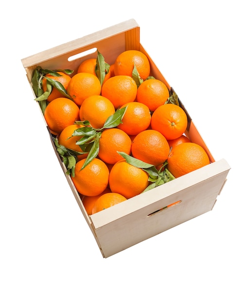 Caja de madera de naranjas valencianas sobre fondo blanco.