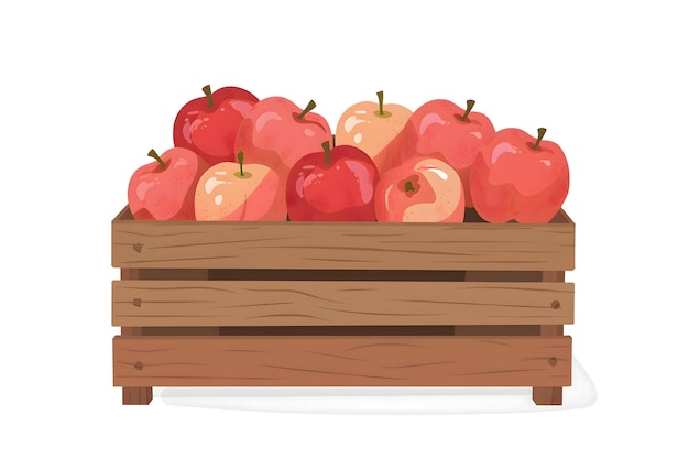 Caja con manzanas de estilo plano aisladas sobre fondo blanco Producto ecológico Frutas frescas de jardín