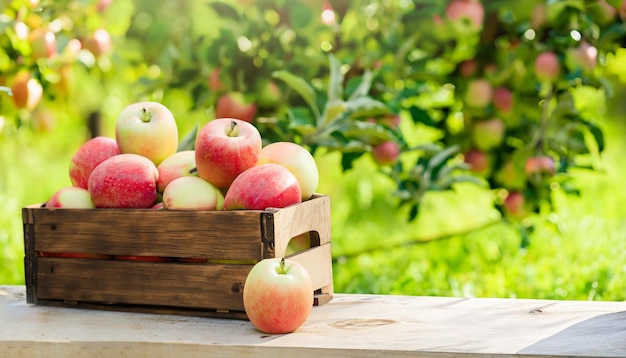 Una caja de manzanas en una mesa frente a un jardín.