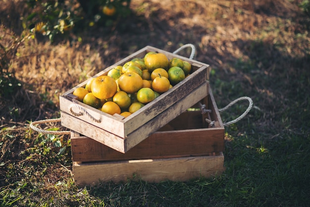 caja naranja en la mesa de madera