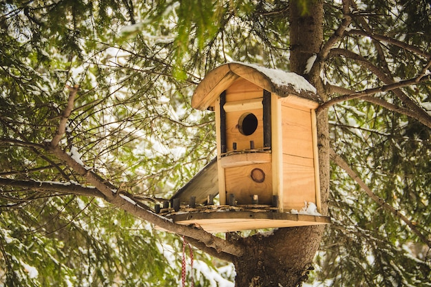 Caja nido colgando en el árbol