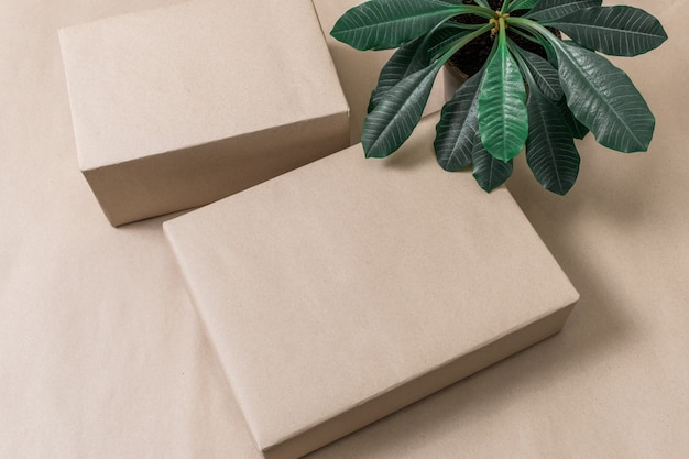 Caja de papel fondo planta postal compras verde tropical