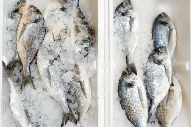 Caja con pescado congelado en hielo en la tienda de alimentos