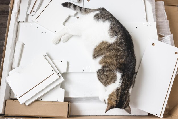 Caja con piezas de montaje de muebles en el suelo y un gato.