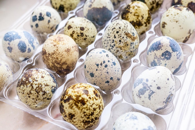 Una caja de plástico con huevos de codorniz en la tienda.