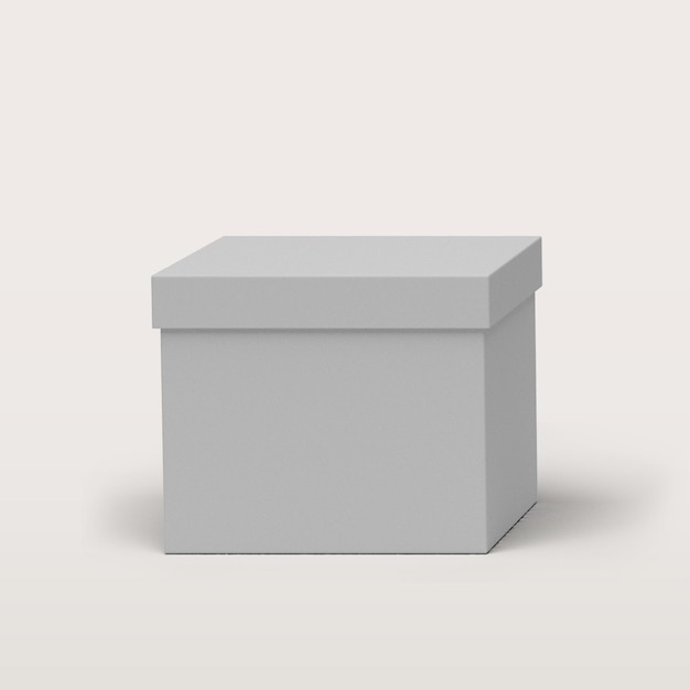 Caja de regalo blanca en blanco aislada en blanco para el diseño de concepto actual