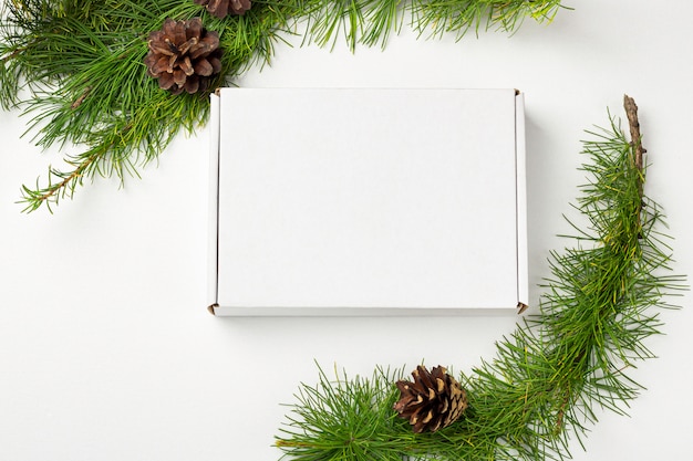 Caja de regalo blanca, decorada con rama de árbol de Navidad con conos sobre fondo blanco.