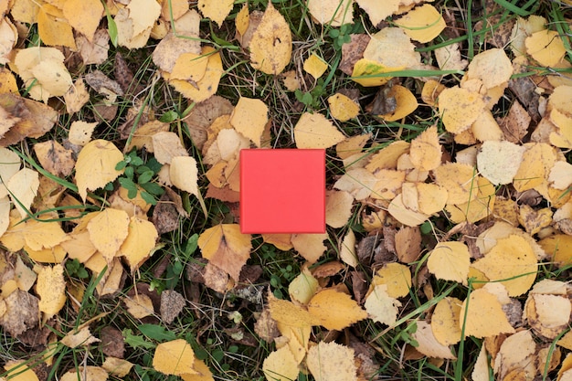 Caja de regalo en hojas de otoño, espacio de copia