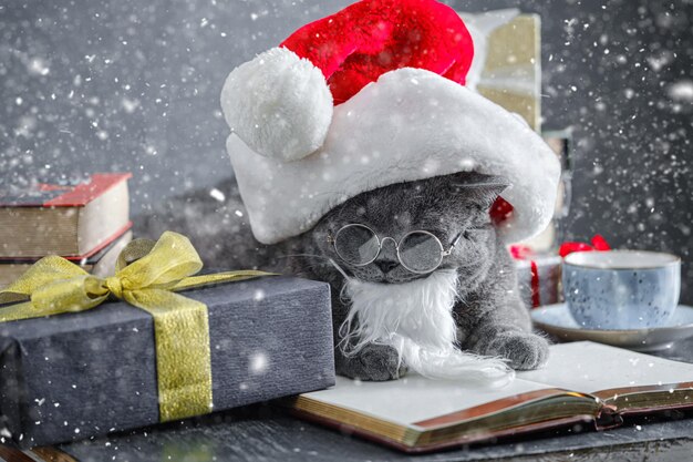 Caja de regalo junto a un lindo gato con un gorro de Papá Noel sobre un fondo de luces navideñas borrosas y regalos bajo la nieve que cae