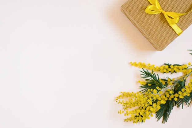 Una caja de regalo marrón con un lazo amarillo y una cinta l y una rama de mimosa sobre un fondo de árbol blanco