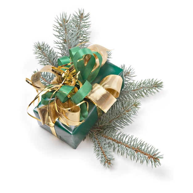 Caja de regalo y rama de abeto azul.