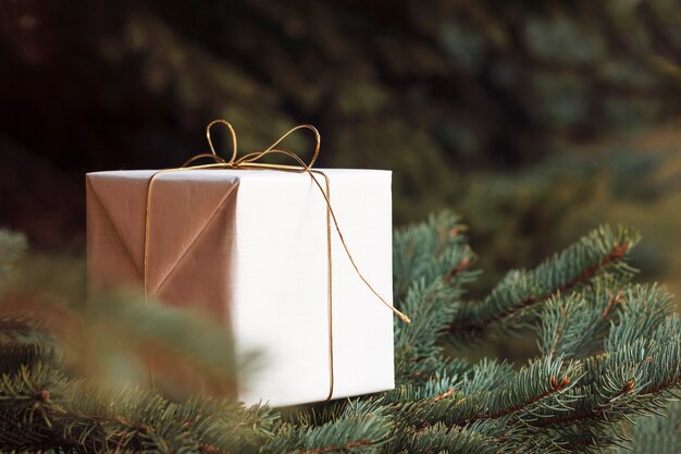 Caja de regalo en la rama de un árbol de Navidad Regalo de Navidad en una caja decorada